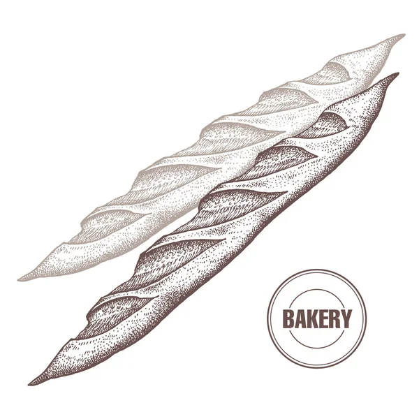 Francés baguette vintage gráficos . — Vector de stock