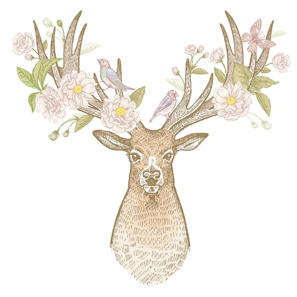 Cabeza de ciervo con cuernos ilustración vintage de la floración . — Vector de stock