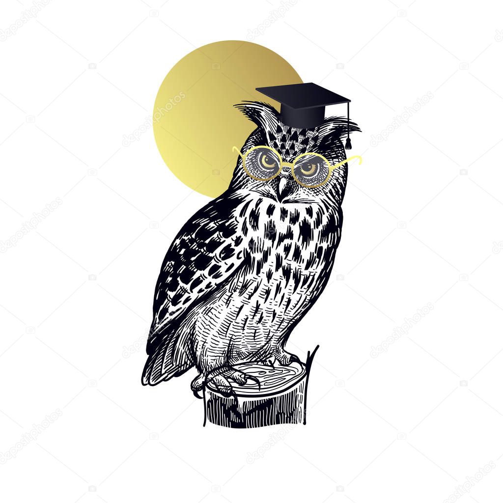 Bird owl in square academic cap and glasses isolated on backgrou