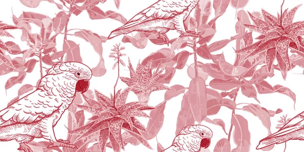 Czerwony i biały wzór bez szwu. Kaktus, Ficus i Kakadu. — Wektor stockowy