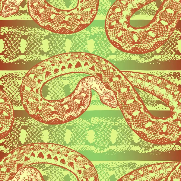 Modèle sans couture. Serpents sur le fond avec un tex de peau de serpent — Image vectorielle