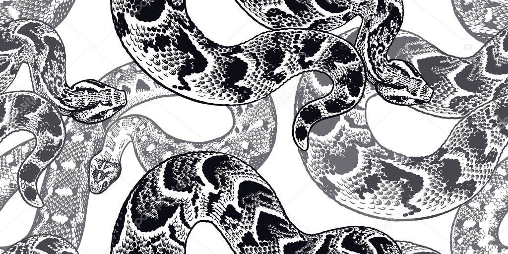 Seamless pattern with Snakes. Black and white.
