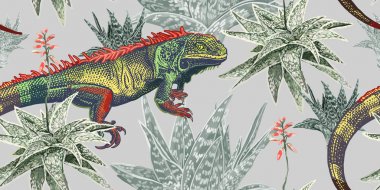 İguana, aloe ve kaktüsler. Çiçeklenme pl ile çiçek dikişsiz desen