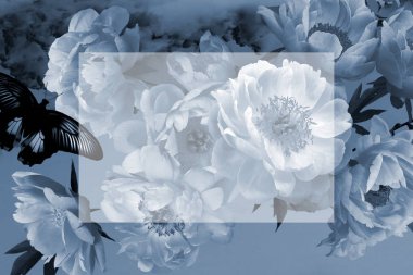 Bahçe çiçekleri şakayık, kelebek ve yazıt için yer. Vin