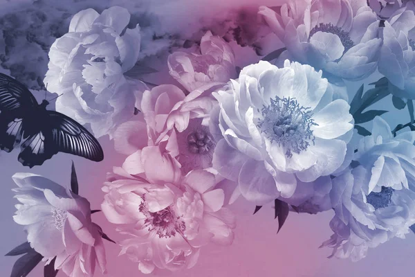 Cartão vintage. bouquet luxuoso de flores de jardim de peônias e — Fotografia de Stock