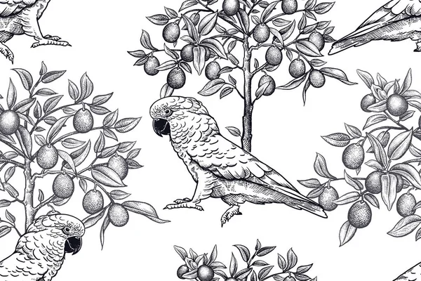 Alberi neri e pappagalli su sfondo bianco. Modello senza cuciture . — Vettoriale Stock