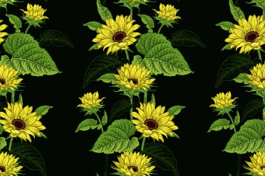 Çiçeksiz desenli ayçiçekleri.