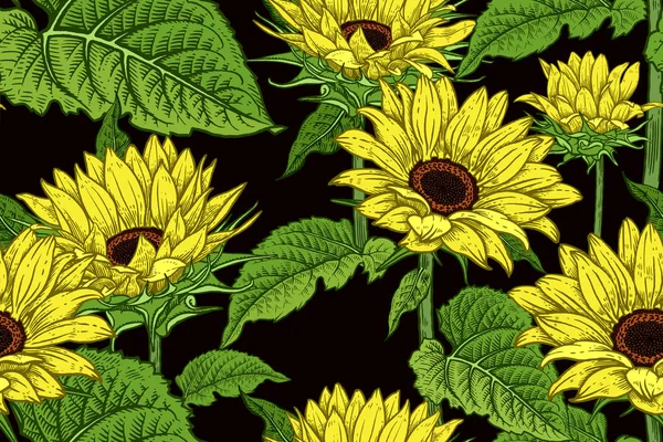 Квітковий безшовний візерунок з квітучими соняшниками . — стоковий вектор