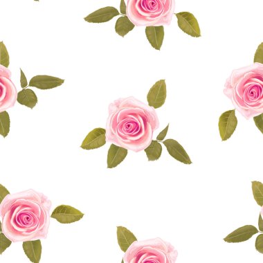 çiçek gül ile Seamless Modeli.