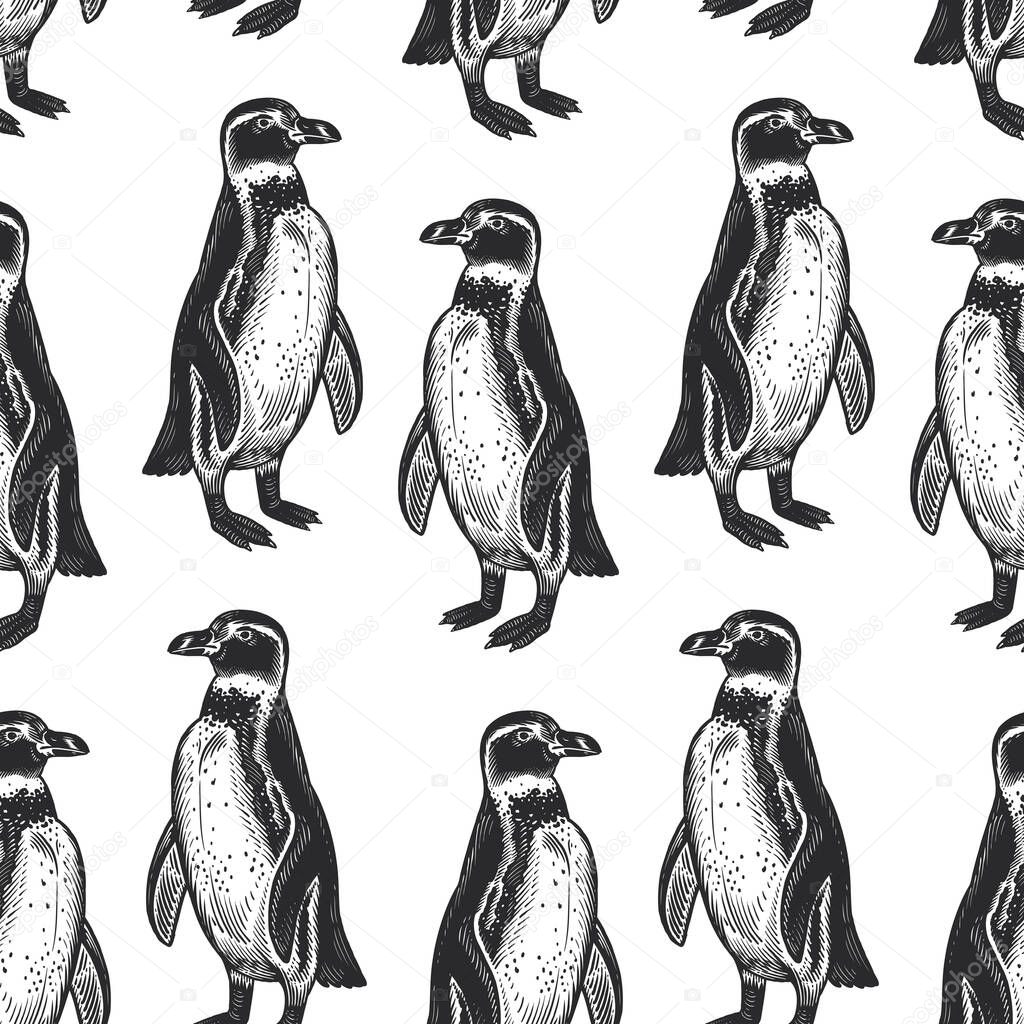 Seamless pattern. Waterfowl birds African Spectacled penguins. Vector illustration. Black ink on white background. Wild life. Natural motive of nature. Paper, wallpaper, textiles, ornamental covering.