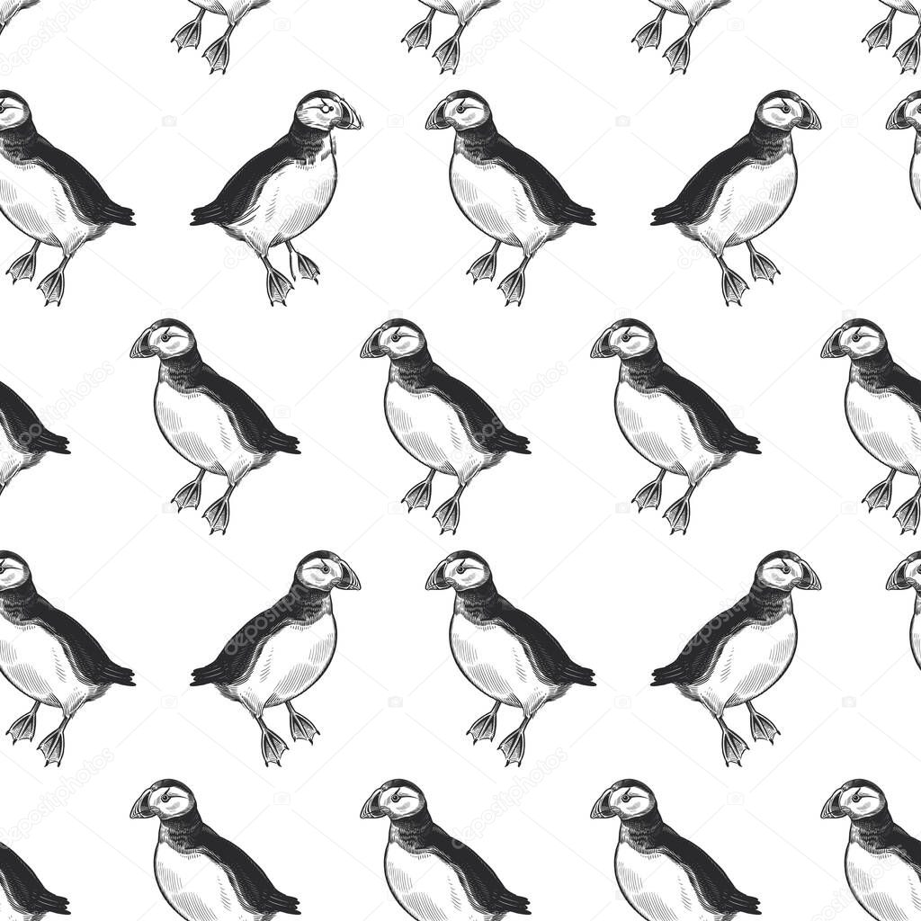 Puffins. Exotic birds deadlock. Seamless pattern. Black ink on white background. Vector illustration. Wild life. Natural motive of nature. For paper, wallpaper, textiles, ornamental coverings.