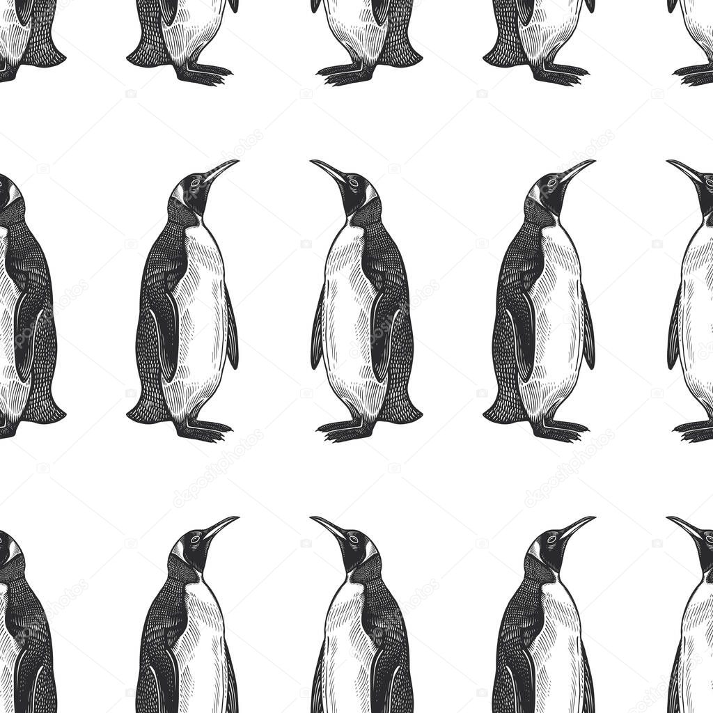 Seamless pattern. Waterfowl birds king penguins. Vector illustration. Black ink on white background. Wild life. Natural motive of nature. For paper, wallpaper, textiles, ornamental coverings. 