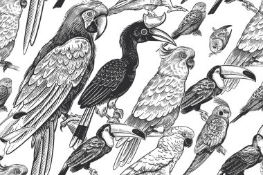 Siyah ve beyaz tropik yaz şablonu. Egzotik kuşlar papağanlar ve tukanlar. Hayvan geçmişi. Vahşi dünya. Hawaii gömlekleri için klasik tasarım, kağıt, duvar kağıdı, tekstil, iç mimari. Vektör illüstrasyonu