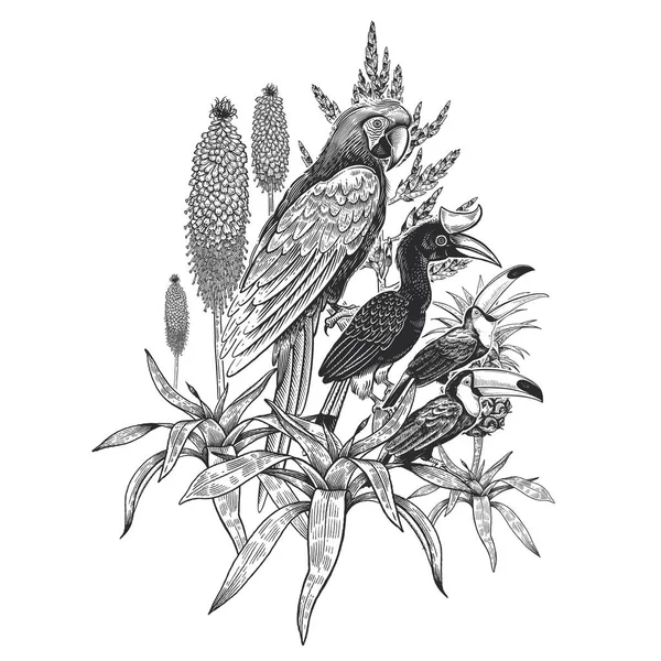Motif Floral Noir Blanc Perroquet Oiseaux Tropicaux Toucans Feuilles Fleurs — Image vectorielle