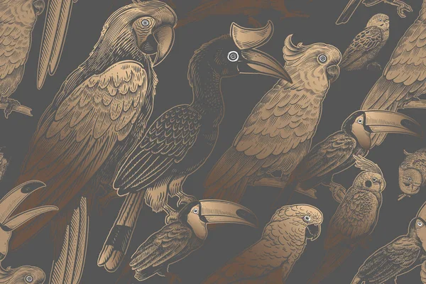 Luxe Tropisch Patroon Exotische Vogels Papegaaien Toekans Gouden Folie Print — Stockvector