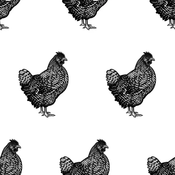 Patrón Sin Costuras Imágenes Pollo Fondo Decorativo Con Gallinas Pájaro — Archivo Imágenes Vectoriales