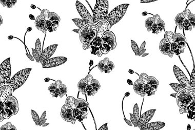 Çiçeksiz desen. Egzotik tropik orkide çiçekleri. Siyah ve beyaz. Vektör çizimi. Eski model. Kağıt, duvar kağıdı, tekstil şablonu.