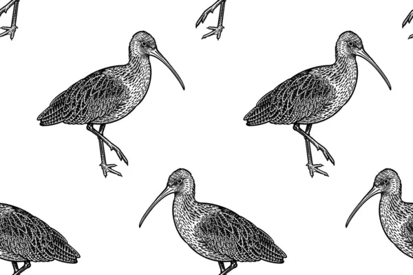 Pássaros Bonitos Ibises Perfil Padrão Sem Costura Gráficos Pretos Sobre — Vetor de Stock