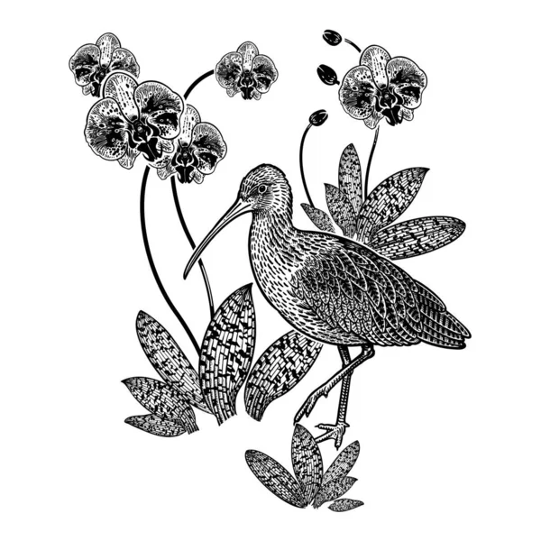 Decoración Pájaros Flores Ibis Orquídeas Patrón Decorativo Floral Imagen Negra — Archivo Imágenes Vectoriales