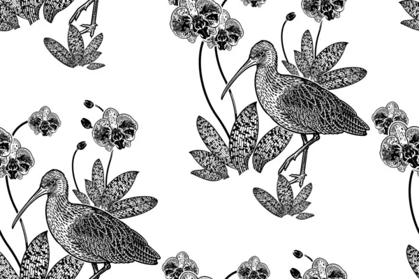 可爱的小鸟和花朵 Ibis和兰花 无缝图案 白色背景上的黑色图形 矢量图解 复古版画 纺织品设计模板 — 图库矢量图片
