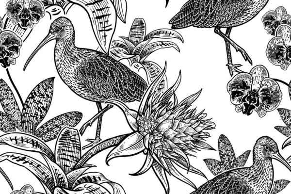 Vogels Bloemen Ibis Orchideeën Exotische Bloemen Bloemen Naadloos Patroon Zwarte — Stockvector