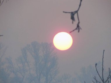   Kış güneşi. Kış manzarası.