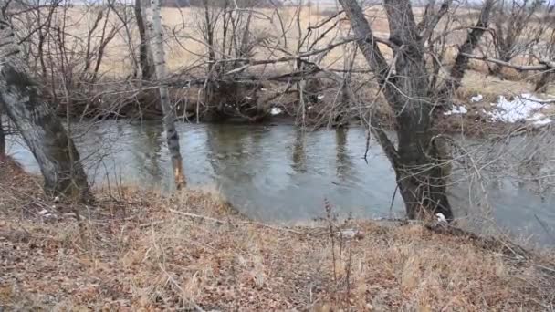 Río Uybat Fueron Abiertos Desde Hielo — Vídeo de stock