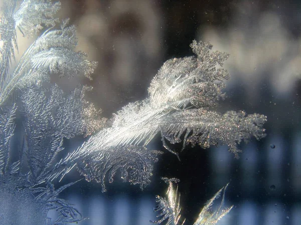 Winter drawing on the window.