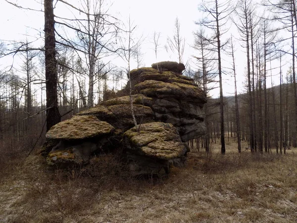 Junho Stone Park Khakassia Russia — Fotografia de Stock