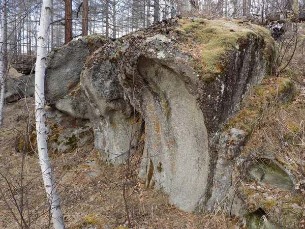 Червень Кам Яний Парк Хакасія Росія — стокове фото