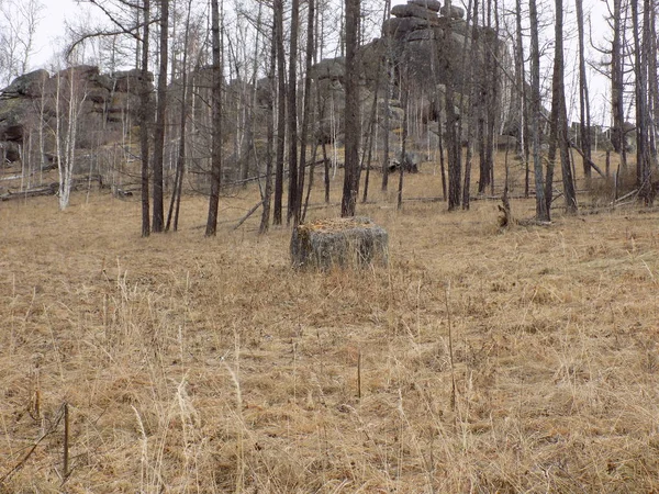 June Stone Park.Khakassia.Rusya.