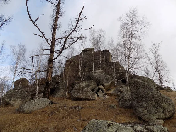 Junho Stone Park Khakassia Russia — Fotografia de Stock