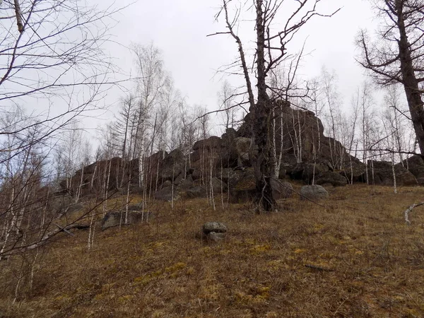 Червень Кам Яний Парк Хакасія Росія — стокове фото