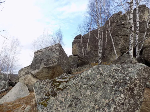 Czerwiec Stone Park Khakassia Rosja — Zdjęcie stockowe