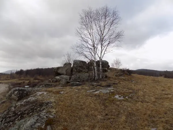 June Stone Park Khakassia Rusia — Foto de Stock