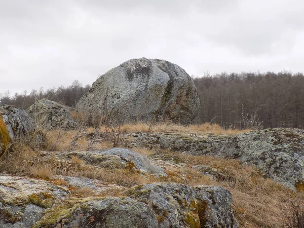 Червень Кам Яний Парк Хакасія Росія — стокове фото