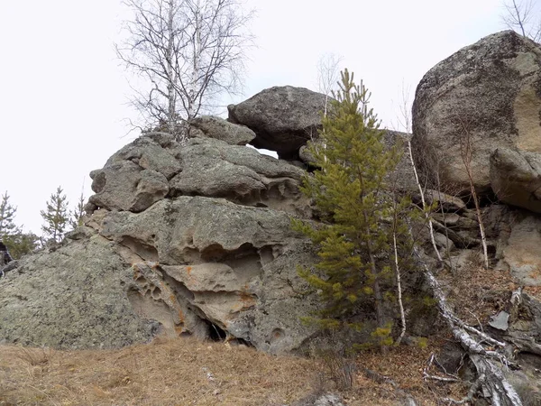 Czerwiec Stone Park Khakassia Rosja — Zdjęcie stockowe