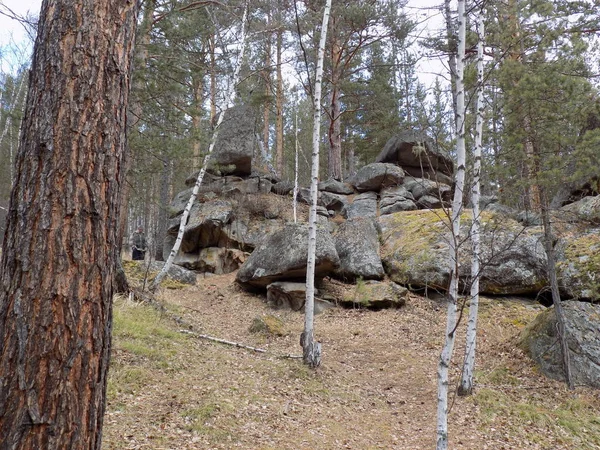 Junho Stone Park Khakassia Russia — Fotografia de Stock