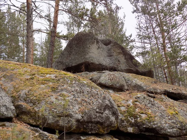 Червень Кам Яний Парк Хакасія Росія — стокове фото