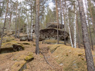 June Stone Park.Khakassia.Rusya.