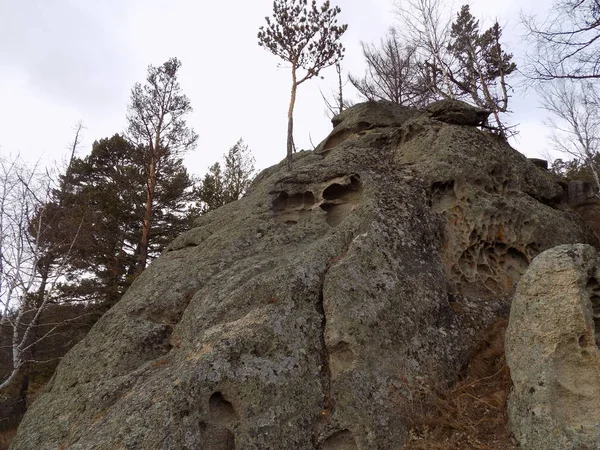 Червень Кам Яний Парк Хакасія Росія — стокове фото