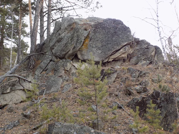 Jus Stone Park Khakassia Rusko — Stock fotografie