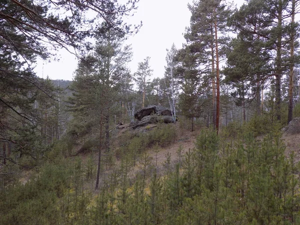 Jus Stone Park Khakassia Rusko — Stock fotografie