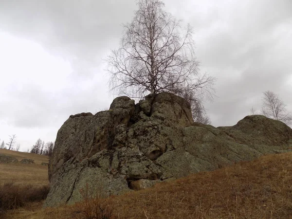 Jus Stone Park Khakassia Rusia — Foto de Stock