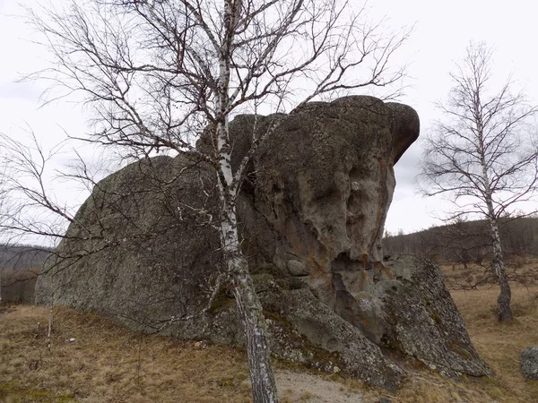 Jus Stone Park Khakassia Russia — Zdjęcie stockowe