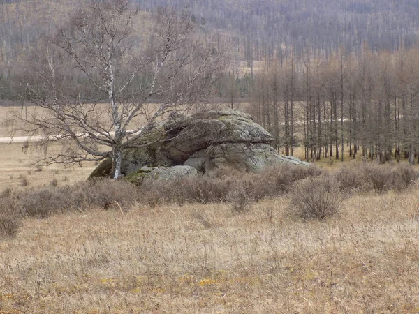 Jus Stone Park.Khakassia.Rusya.