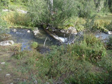 Ergaki,Uyuyan Sayan,asılı taş...