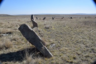 Uybat nehri yakınlarında. Hakassia.