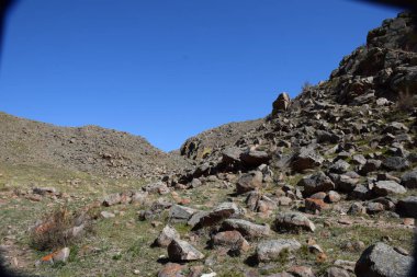 Uybat nehri yakınlarında. Hakassia.