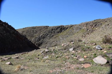 Uybat nehri yakınlarında. Hakassia.